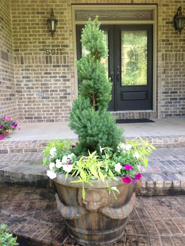 Hometown Lawns Landscape Management - Photo 14