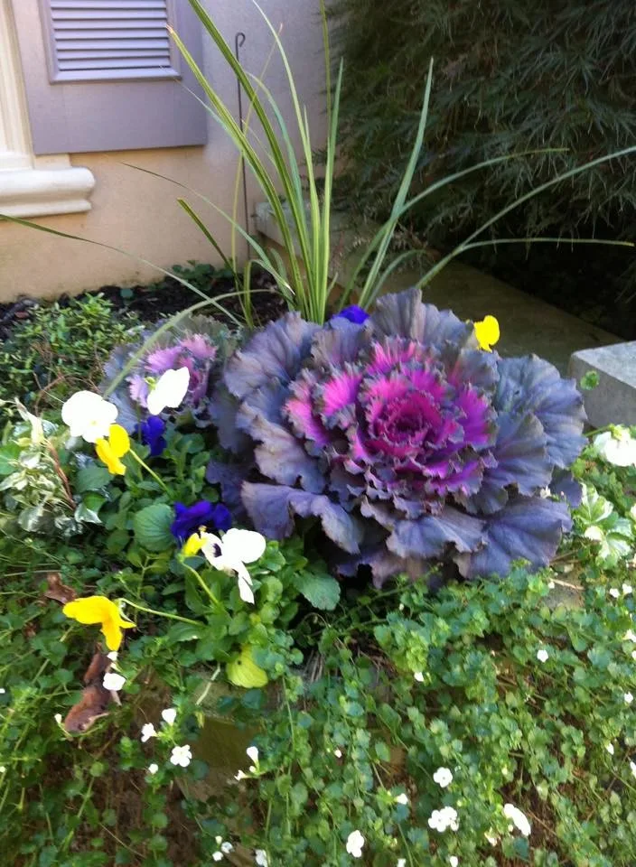Scenic Art Collection by Hometown Lawns Landscape Management - Photo 21