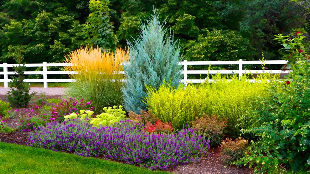 Landscaping Setup by Mr. Green Thumbs - Photo 15