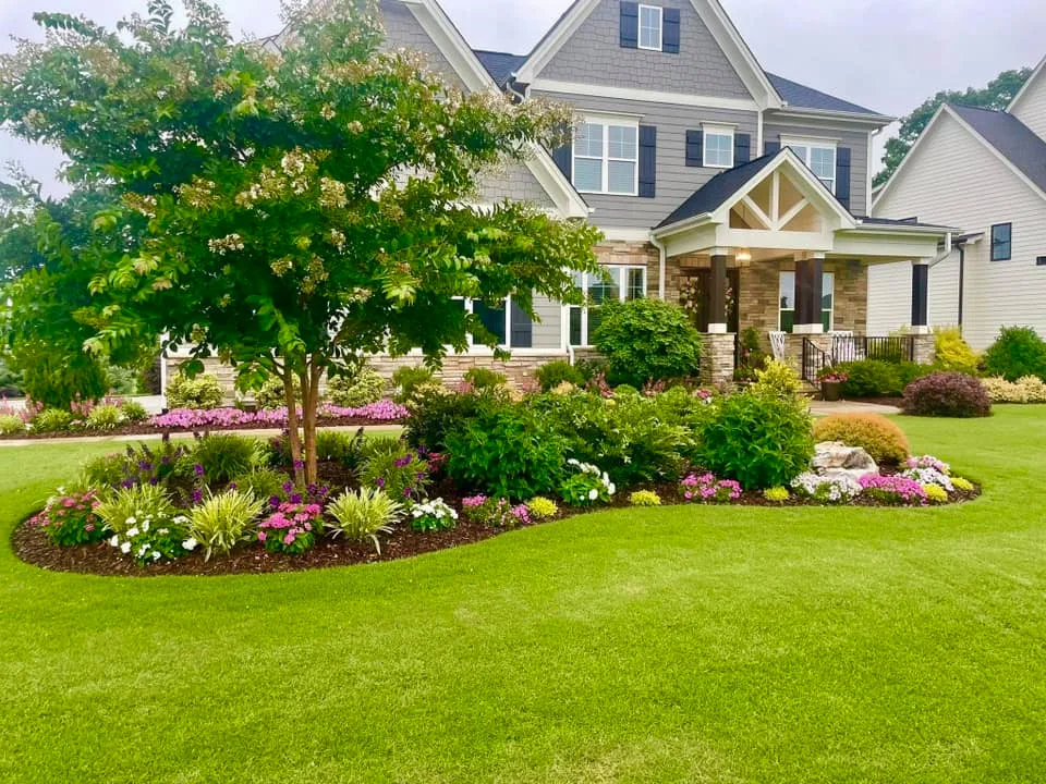 Mr. Green Thumbs - Photo 11