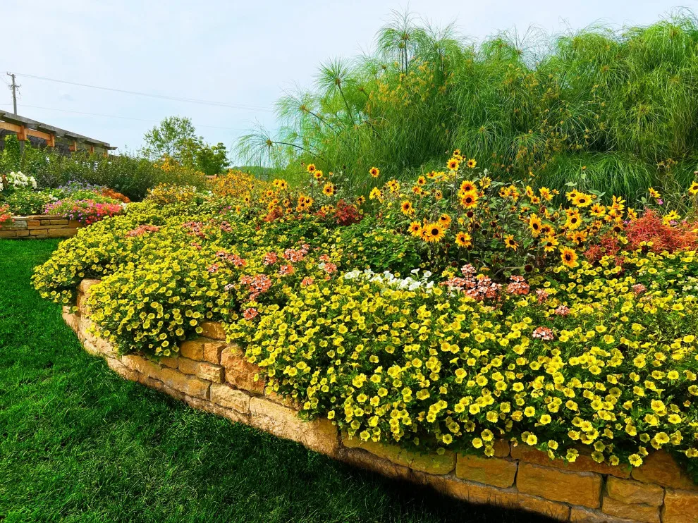 Mr. Green Thumbs - Photo 13