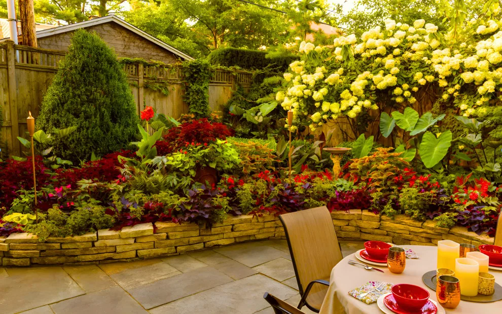 Mr. Green Thumbs - Photo 9