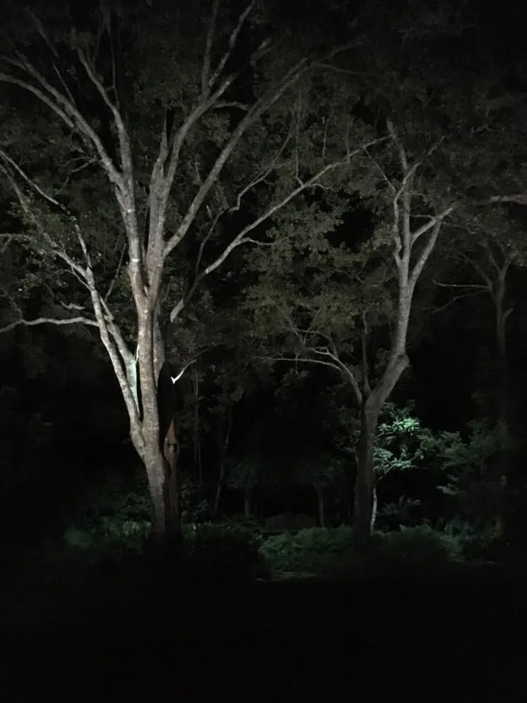 Outdoor Lighting Solutions - Photo 2