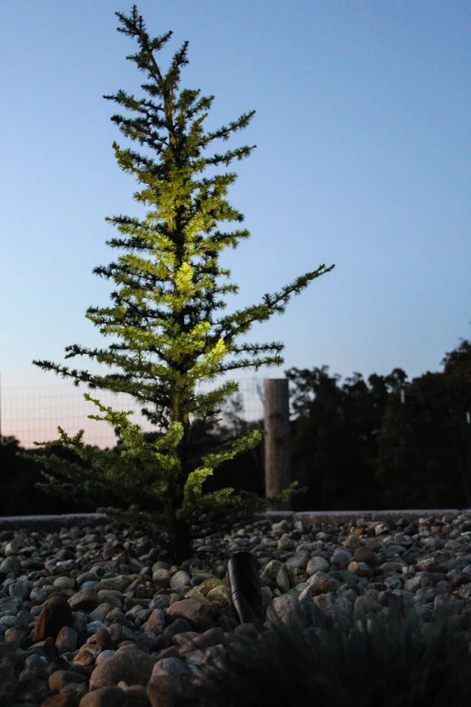 Smart Outdoor Design and Illumination by Yoder Lawn - Photo 10