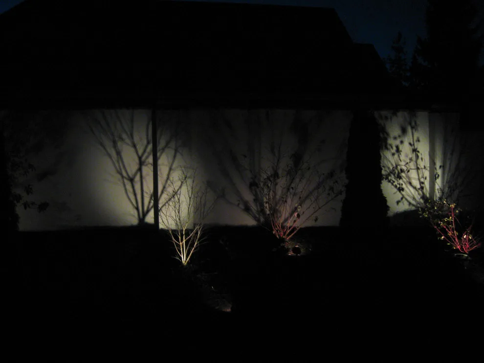 Outdoor Illumination by Choice Landscapes LLC - Photo 5