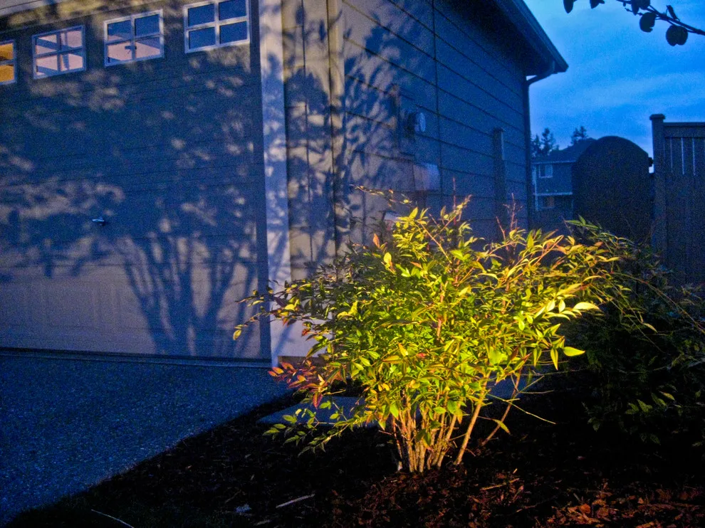 Outdoor Illumination by Choice Landscapes LLC - Photo 6