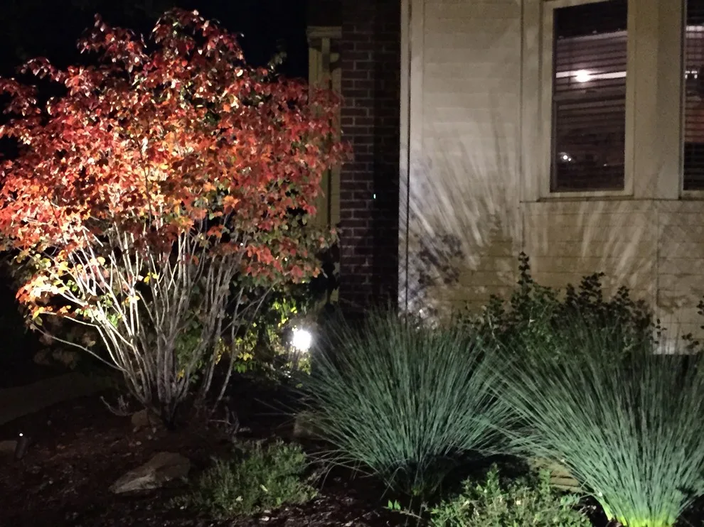 Harbor Springs MI Landscape Illumination by Michigan Pete Landscaping - Photo 4