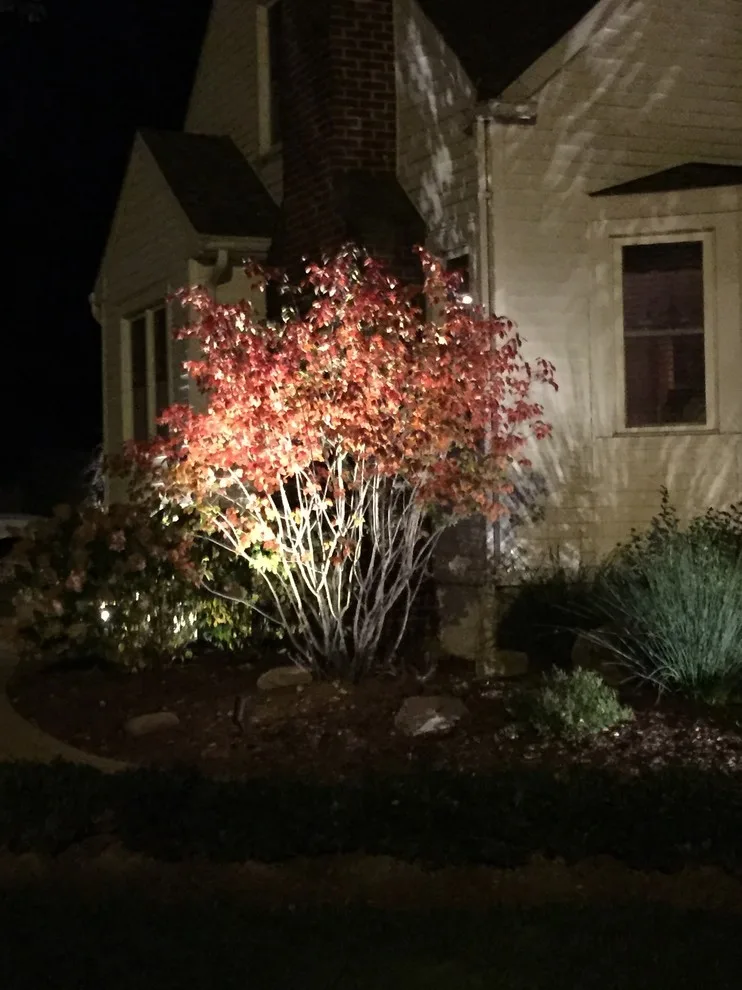 Harbor Springs MI Landscape Illumination by Michigan Pete Landscaping - Photo 3