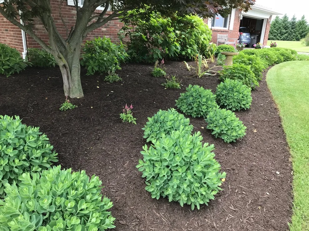 Wihebrink Landscape Management, Inc. - Photo 9