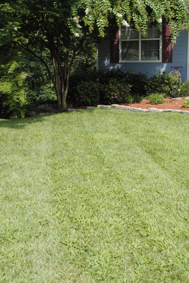 Landscape Care and Enhancements by Crider Landscaping - Photo 4