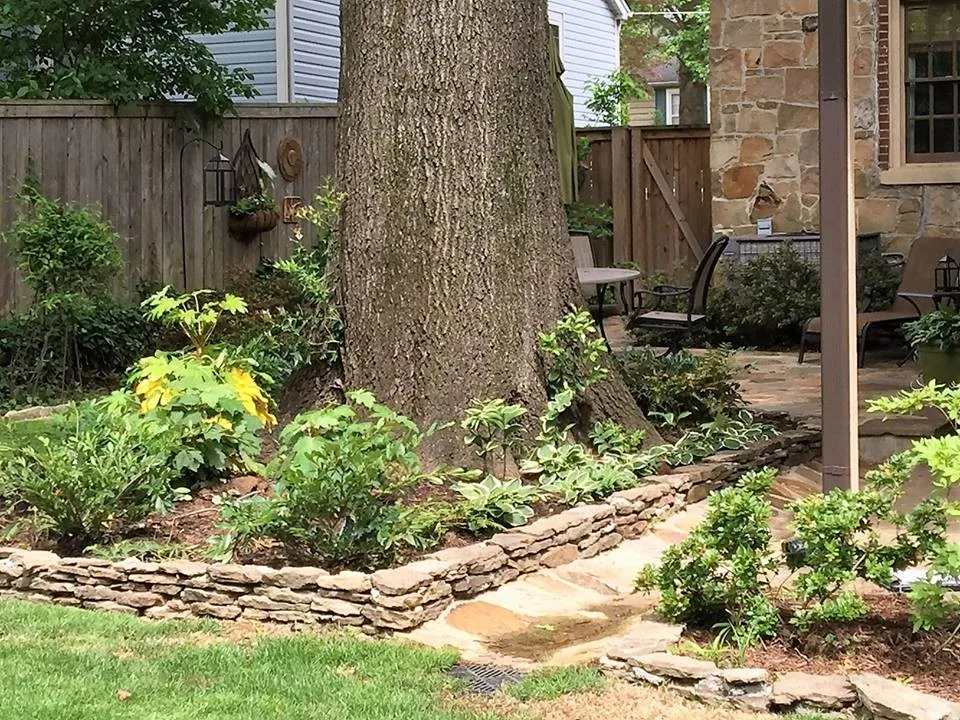 Memphis Outdoor Space: Drainage and Irrigation Setup by Mid-South Curb Appeal, LLC - Photo 3