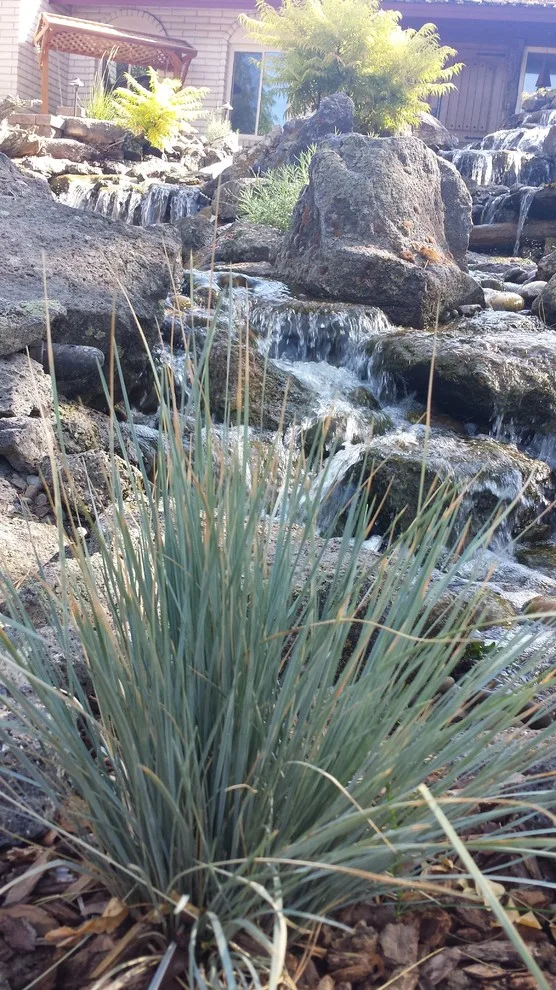 Landscape Restoration by Kimberly Nurseries Landscaping & Irrigation - Photo 16