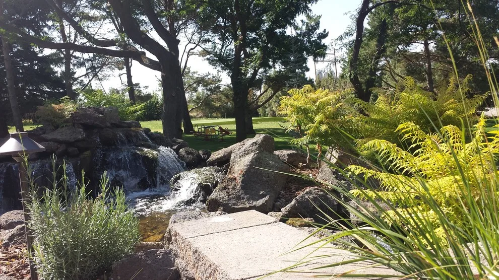 Landscape Restoration by Kimberly Nurseries Landscaping & Irrigation - Photo 19