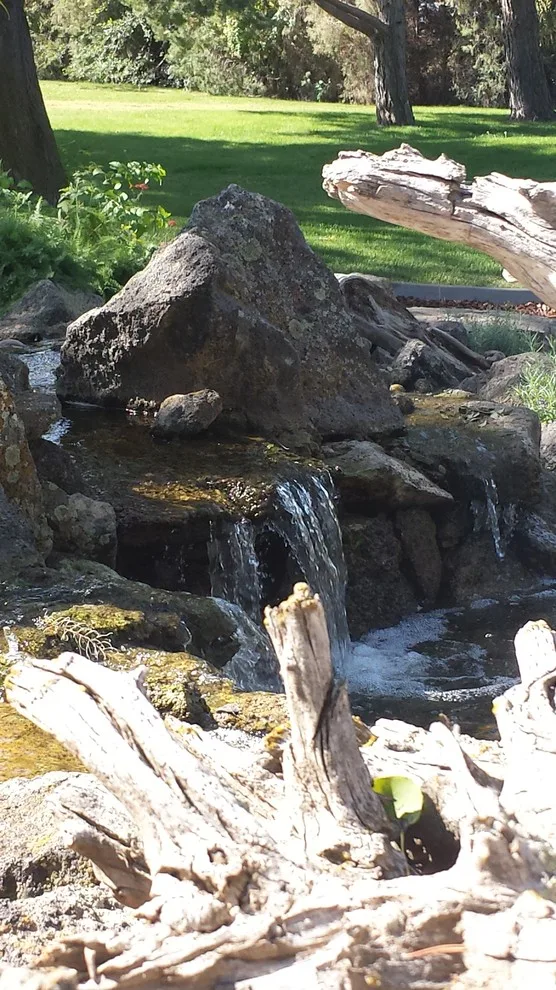 Landscape Restoration by Kimberly Nurseries Landscaping & Irrigation - Photo 9
