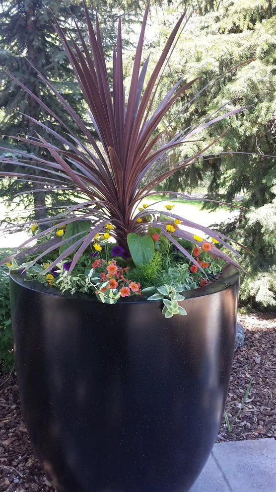 Landscape Restoration by Kimberly Nurseries Landscaping & Irrigation - Photo 4