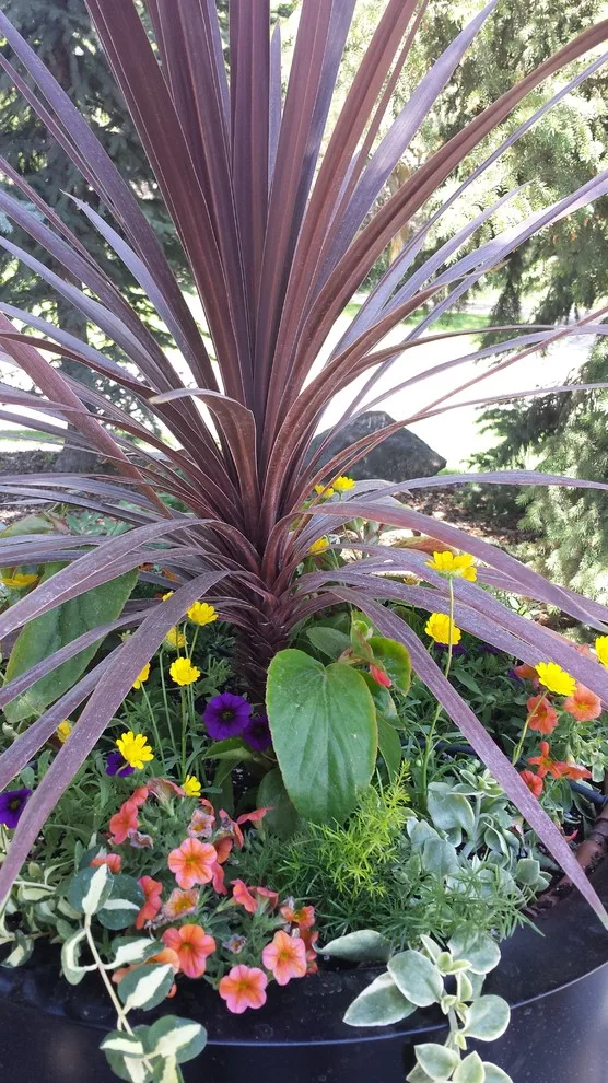 Landscape Restoration by Kimberly Nurseries Landscaping & Irrigation - Photo 15