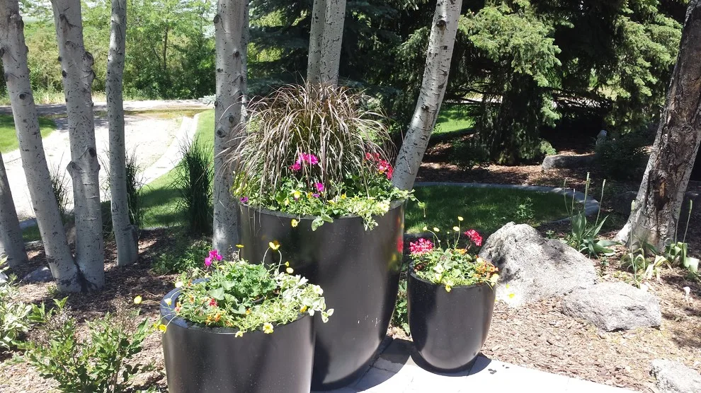 Landscape Restoration by Kimberly Nurseries Landscaping & Irrigation - Photo 26