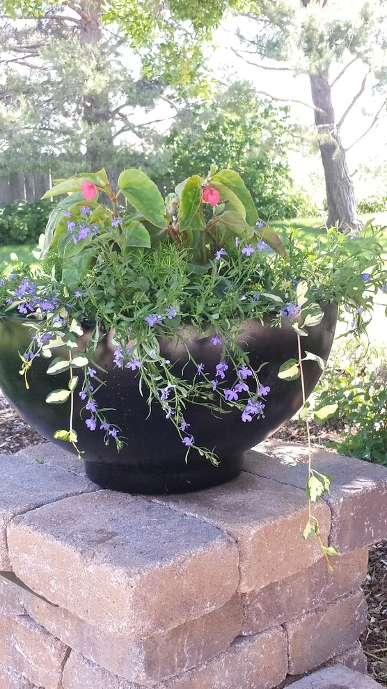 Landscape Restoration by Kimberly Nurseries Landscaping & Irrigation - Photo 23