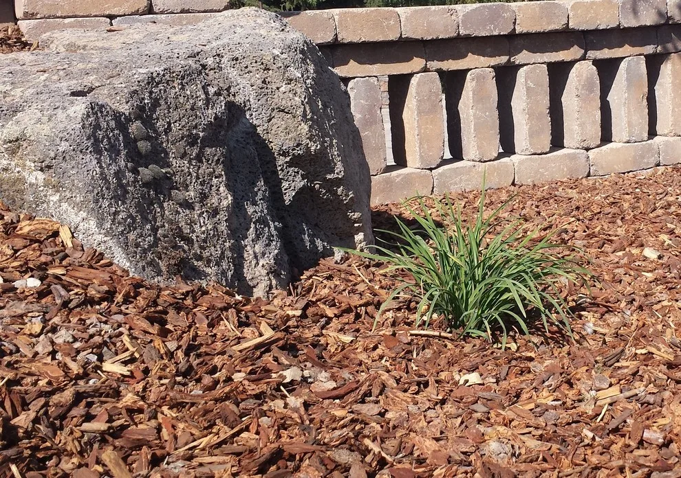 Landscape Restoration by Kimberly Nurseries Landscaping & Irrigation - Photo 6