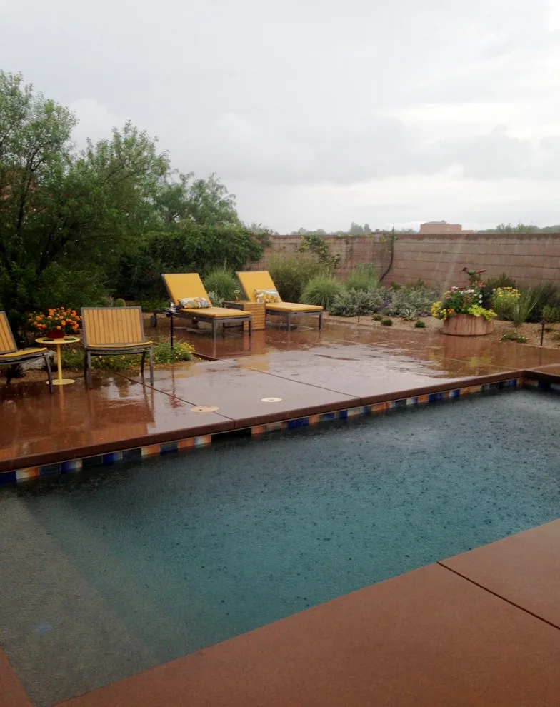 Desert Southwest Poolside Landscaping by Sonoran Gardens Landscape, Design & Construction - Photo 4