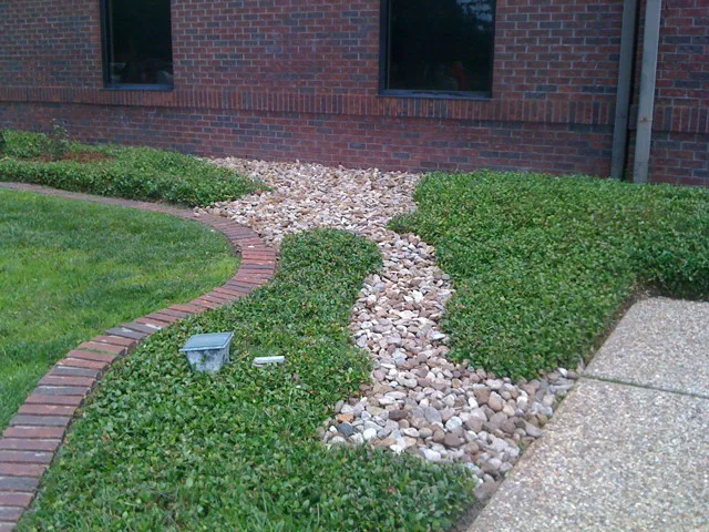 Landscaping Project by USA Landscape Services - Photo 4