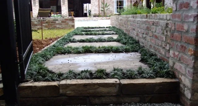 Scapes Inc - Photo 7