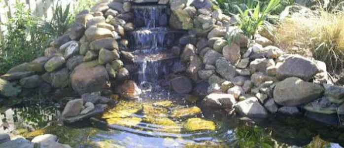 Scapes Inc - Photo 10