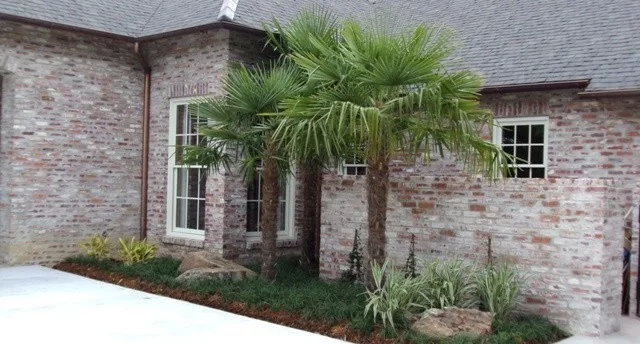 Sceneries by Scapes Inc - Photo 10
