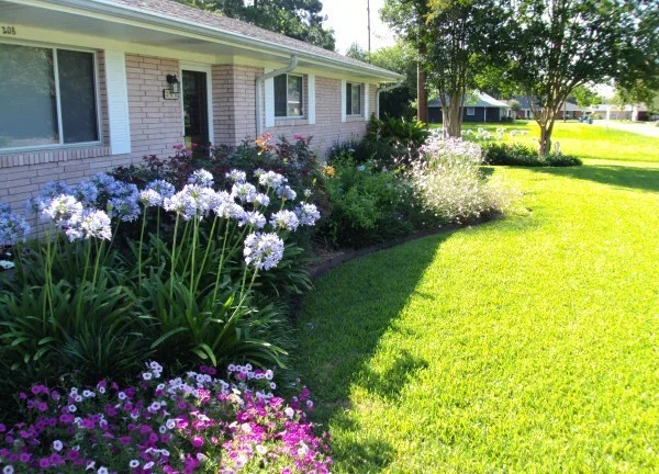 Scapes Inc - Photo 12