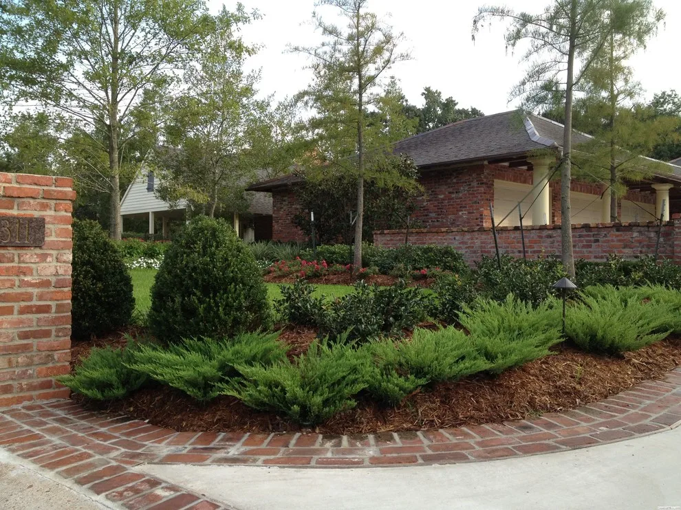 Scapes Inc - Photo 6