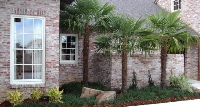 Scapes Inc - Photo 14