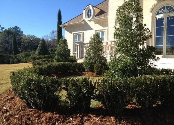 Sceneries by Scapes Inc - Photo 14