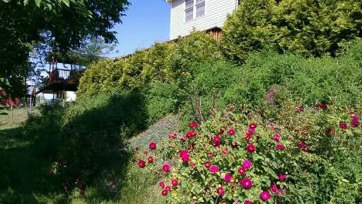 Garden Design and Mulching by Grandscapes Landscape And Construction LLC - Photo 3