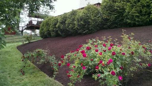 Garden Design and Mulching by Grandscapes Landscape And Construction LLC - Photo 6