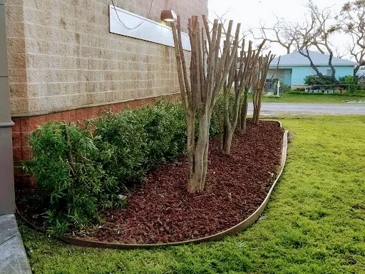 C & J Landscaping - Photo 11
