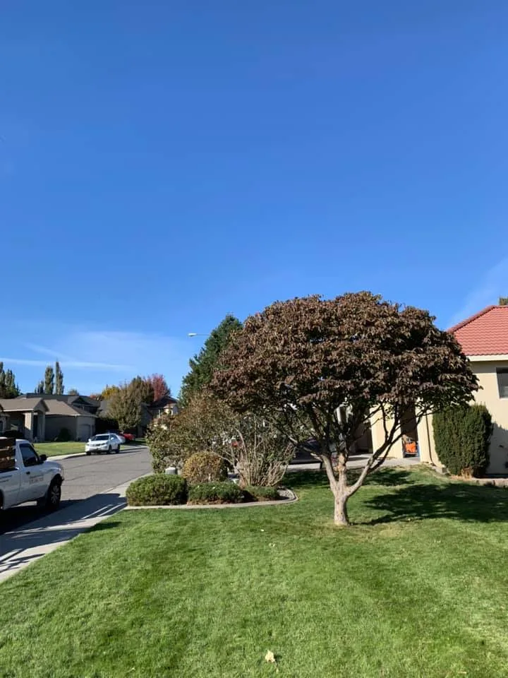 Eden Landscaping & Tree Service LLC - Photo 14