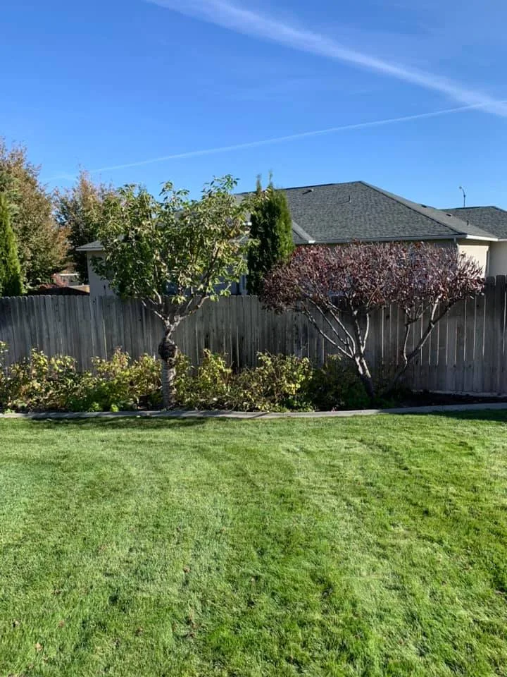 Eden Landscaping & Tree Service LLC - Photo 4