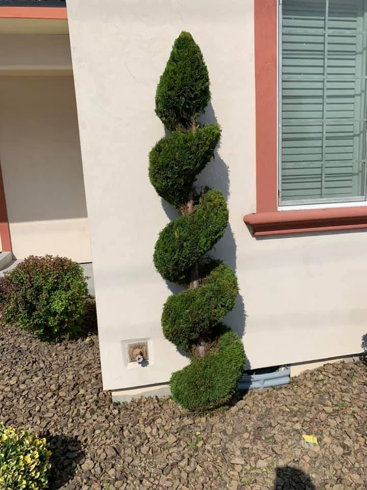 Eden Landscaping & Tree Service LLC - Photo 6