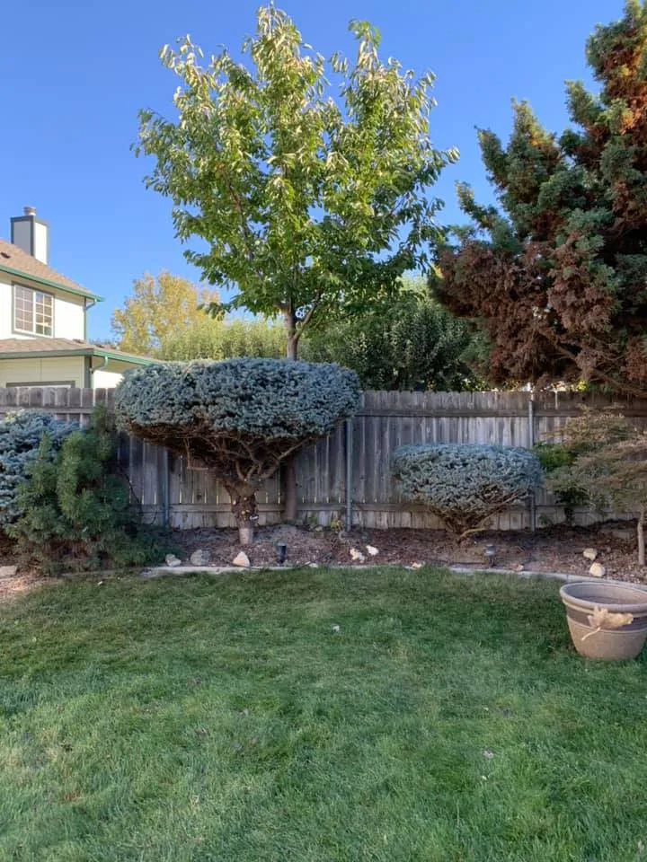 Eden Landscaping & Tree Service LLC - Photo 9