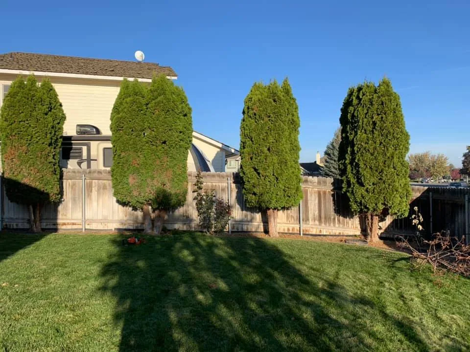 Eden Landscaping & Tree Service LLC - Photo 3