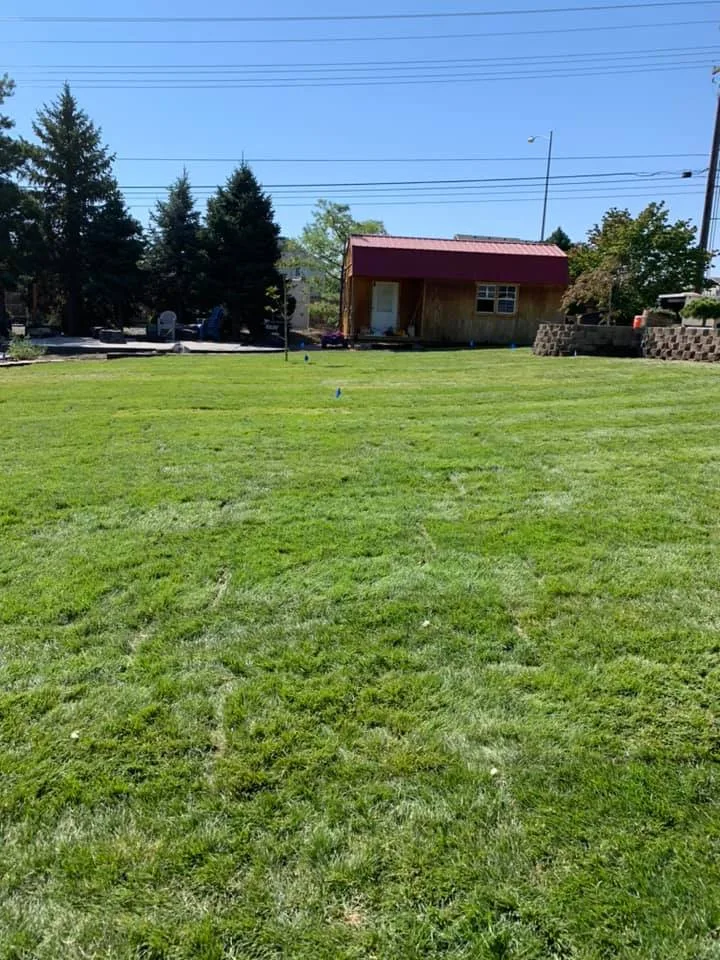 Landscaping Setup and Care by Eden Landscaping & Tree Service LLC - Photo 11