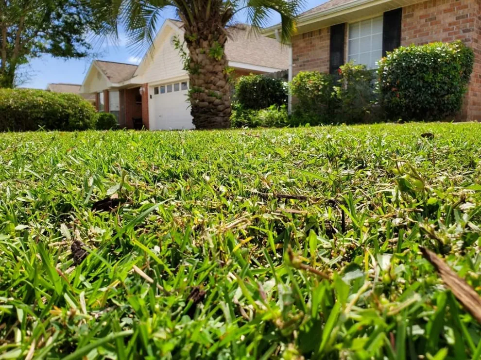 Kingdom Landscaping Co. - Photo 13