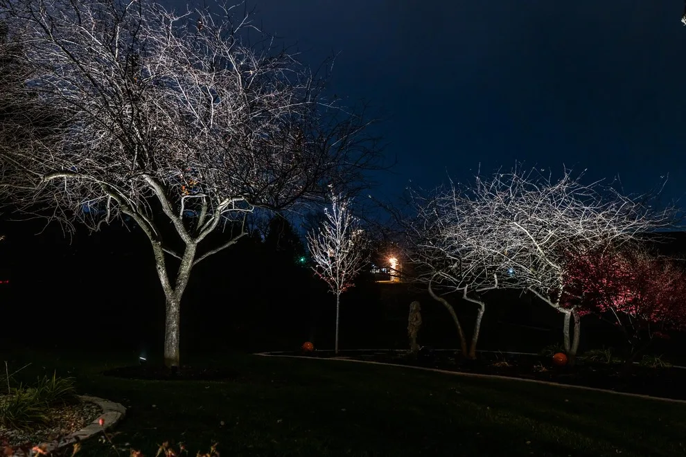 Outdoor Illumination Design by Okaw Prairie Landscapes - Photo 15