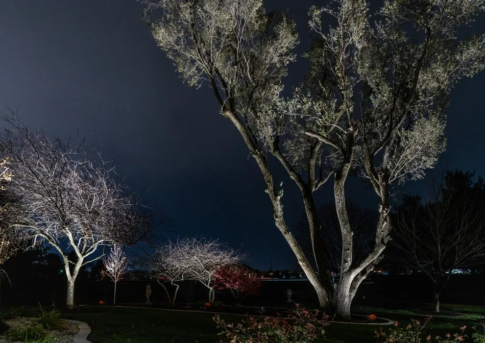 Outdoor Illumination Design by Okaw Prairie Landscapes - Photo 4