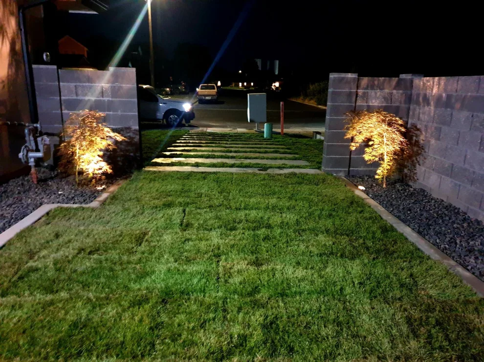 Outdoor Lighting for Landscaping by Bonafide Landscaping - Photo 7