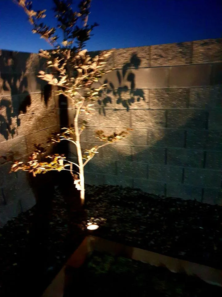 Outdoor Lighting for Landscaping by Bonafide Landscaping - Photo 13