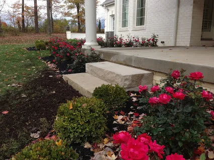 Garden Wonder by Wichman Landscape & Construction - Photo 6