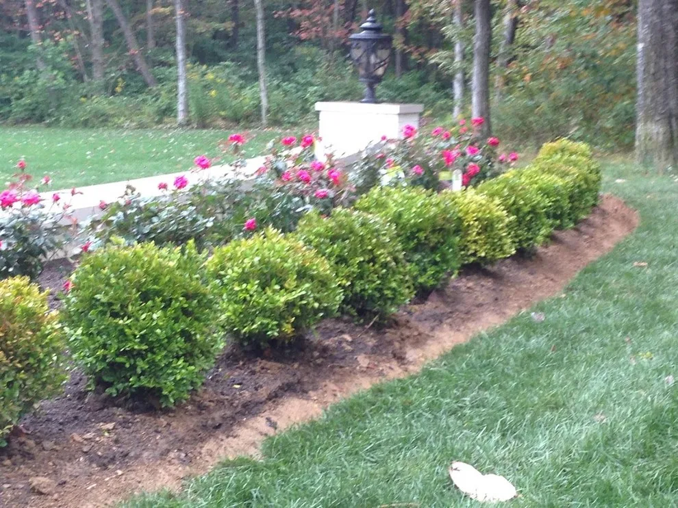 Garden Wonder by Wichman Landscape & Construction - Photo 9