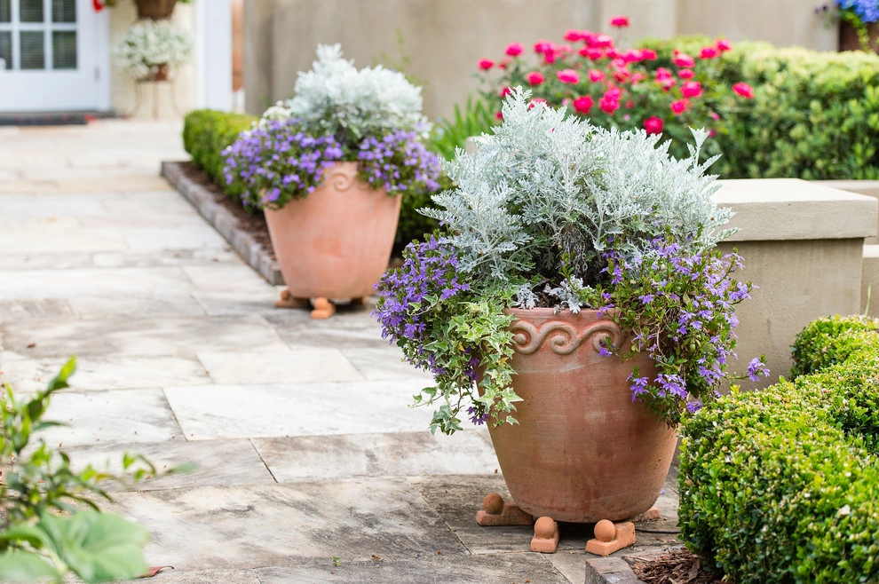 Formal Roots by Carolina Landscape, Inc. - Photo 10