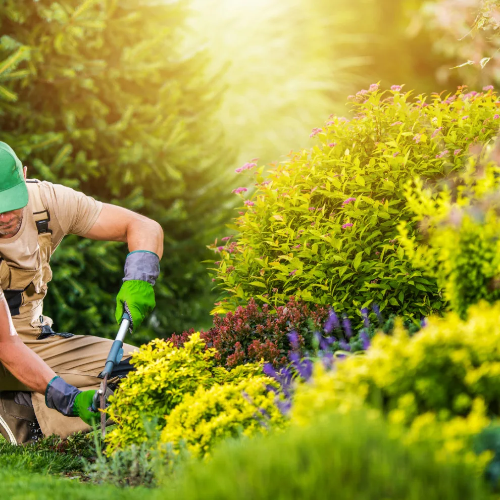 A&MS Lawn & Landscaping Services LLC - Photo 6